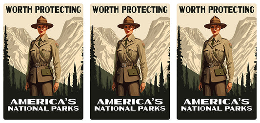 What is the History of the WPA Posters?