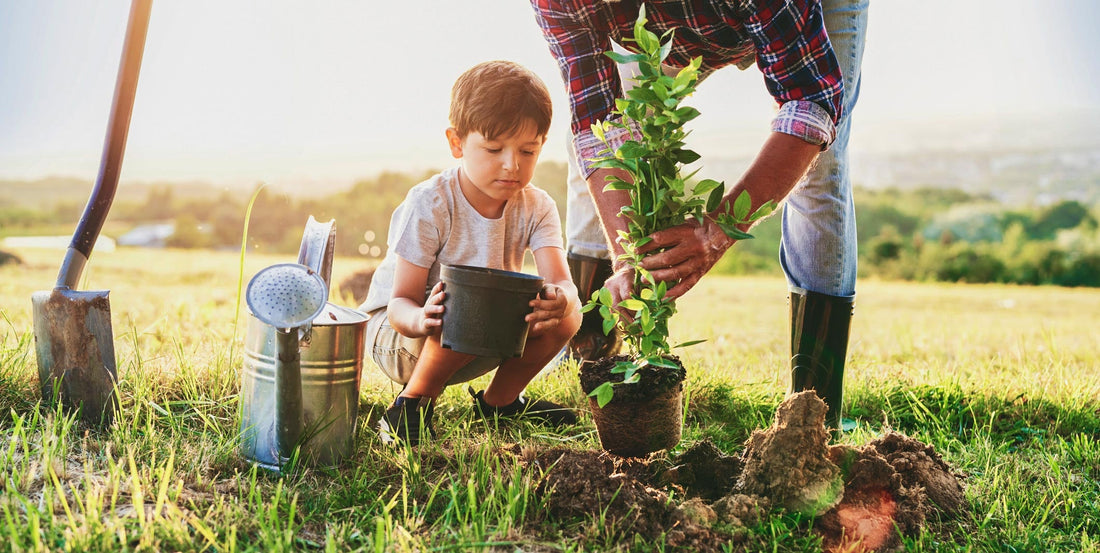 Arbor Day – A Celebration of the Future