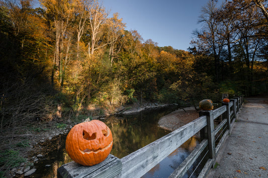 A jack-o'-lantern sits atop a wooden bridge railing, overlooking a peaceful stream framed by trees adorned in the golden hues of autumn.