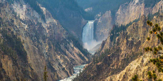 The National Park Service Anniversary, August 25th