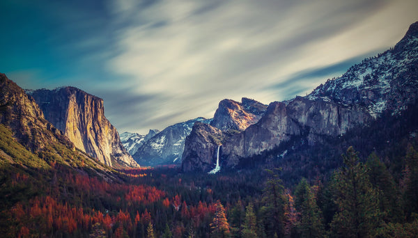 Celebrate Yosemite's 125th Anniversary