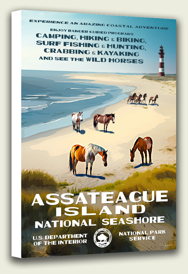 Assateague Island National Seashore Canvas Print