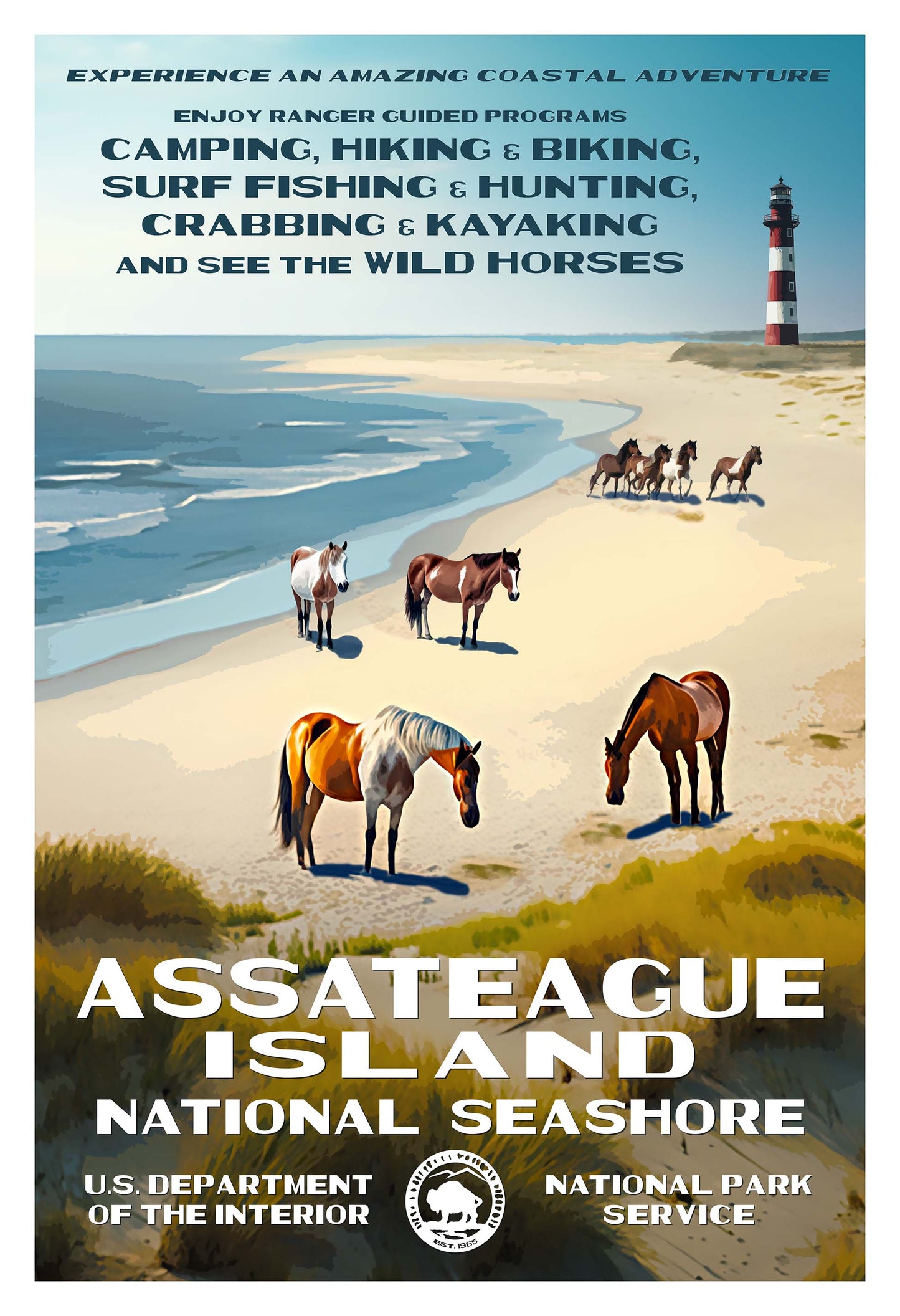 Assateague Island National Seashore Poster