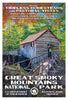 Great Smoky Mountains National Park Collection