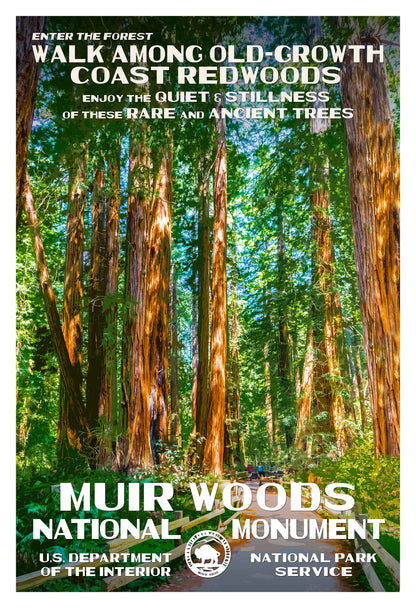 Muir Woods National Monument Poster