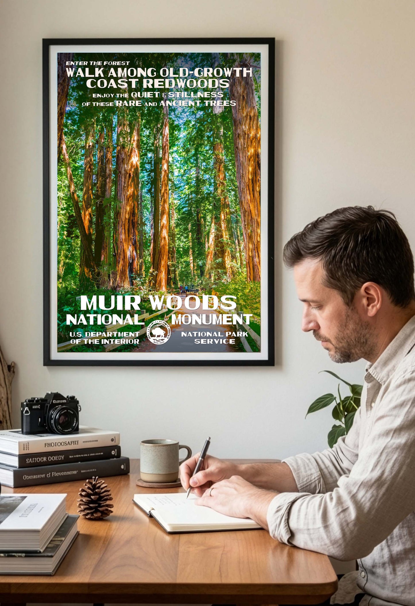 Muir Woods National Monument Poster