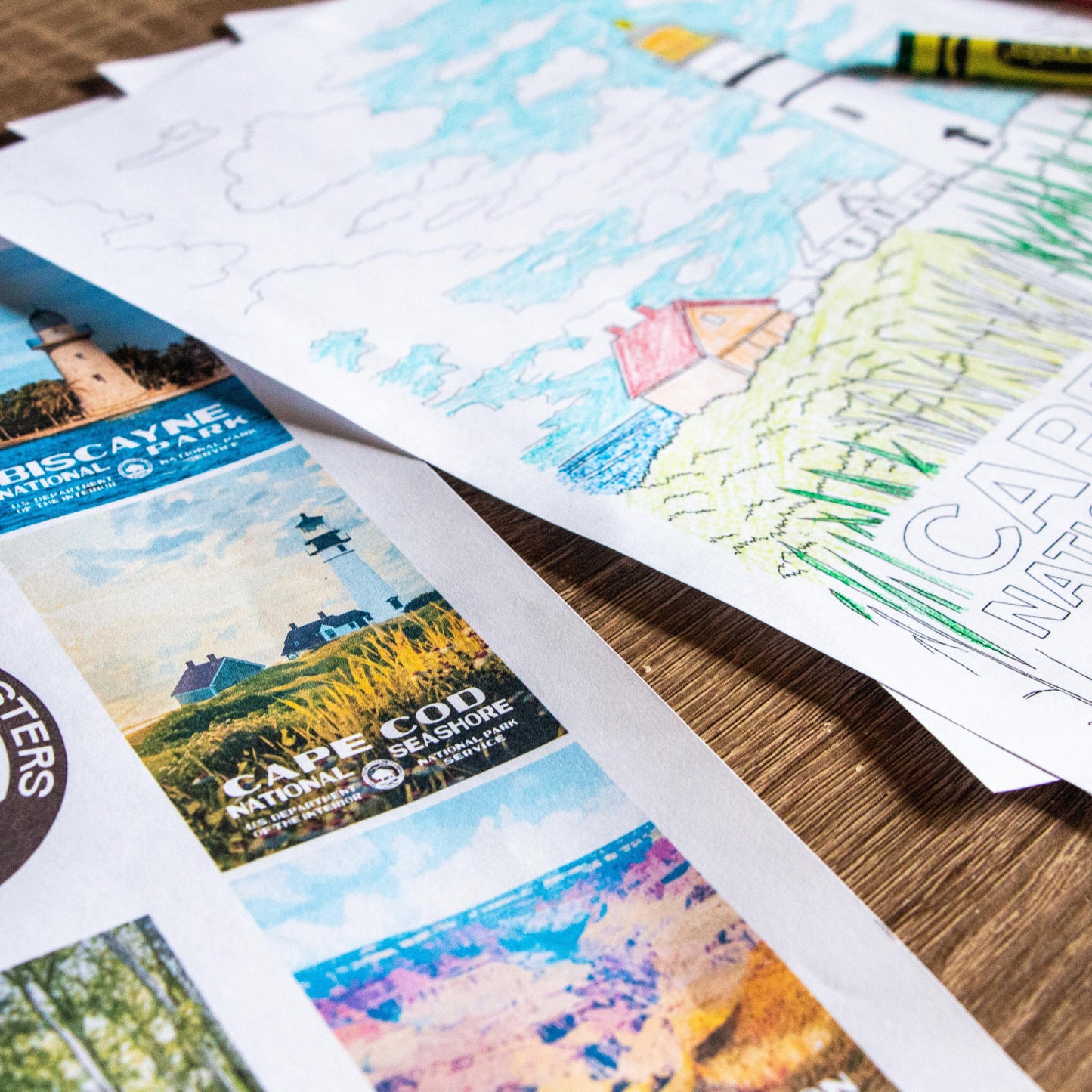 National Park Posters Coloring Book