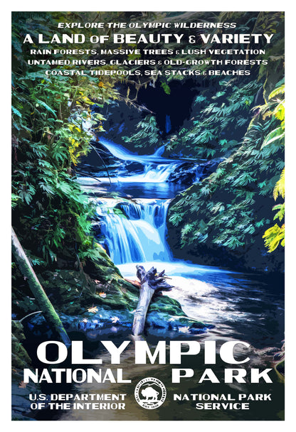 Olympic National Park Poster - Rain Forest