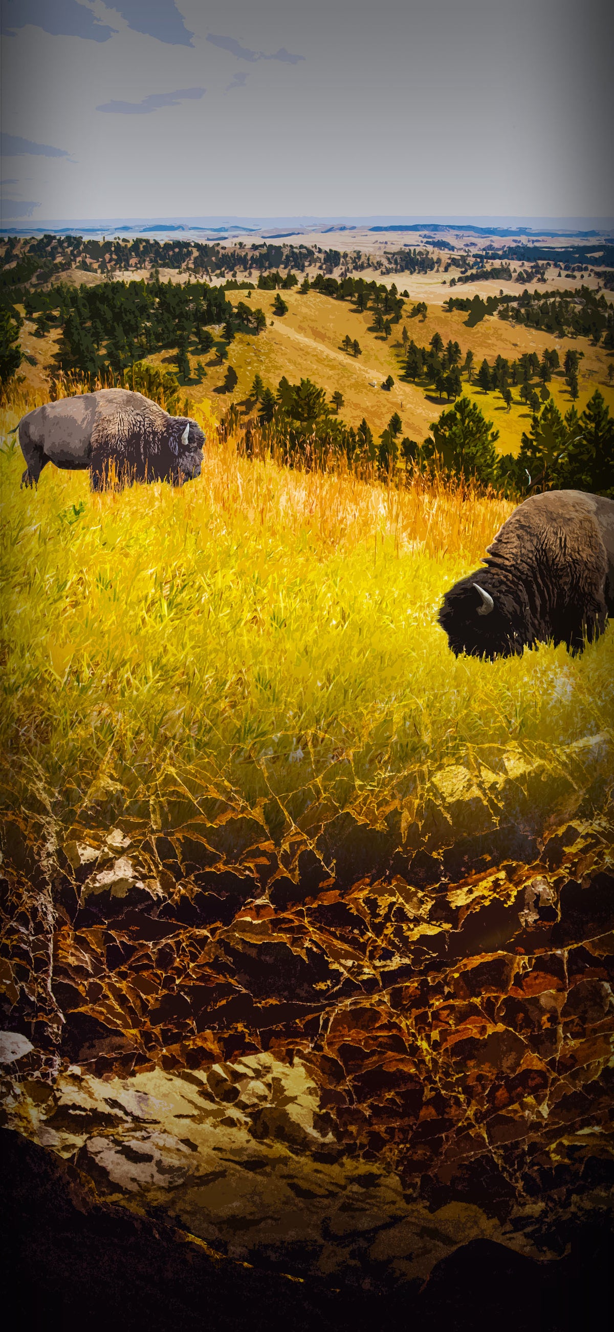 National Park Digital Phone Screen Backgrounds - 2027