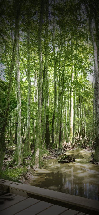 National Park Digital Phone Screen Backgrounds