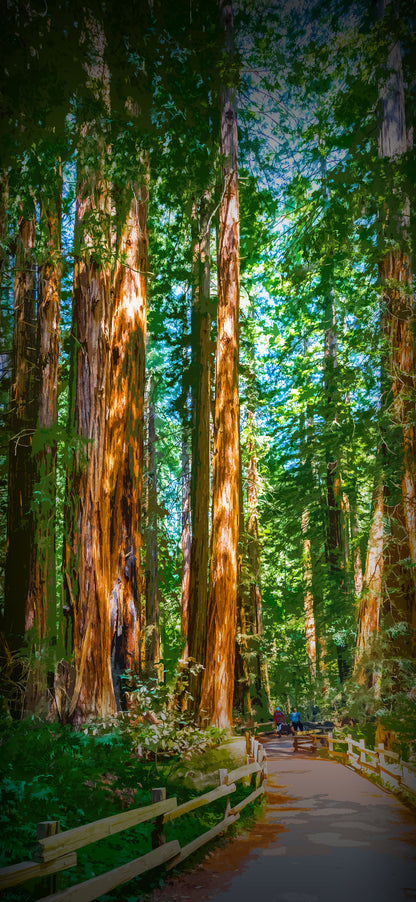 National Park Digital Phone Screen Backgrounds