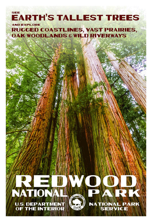 Redwood National Park Poster