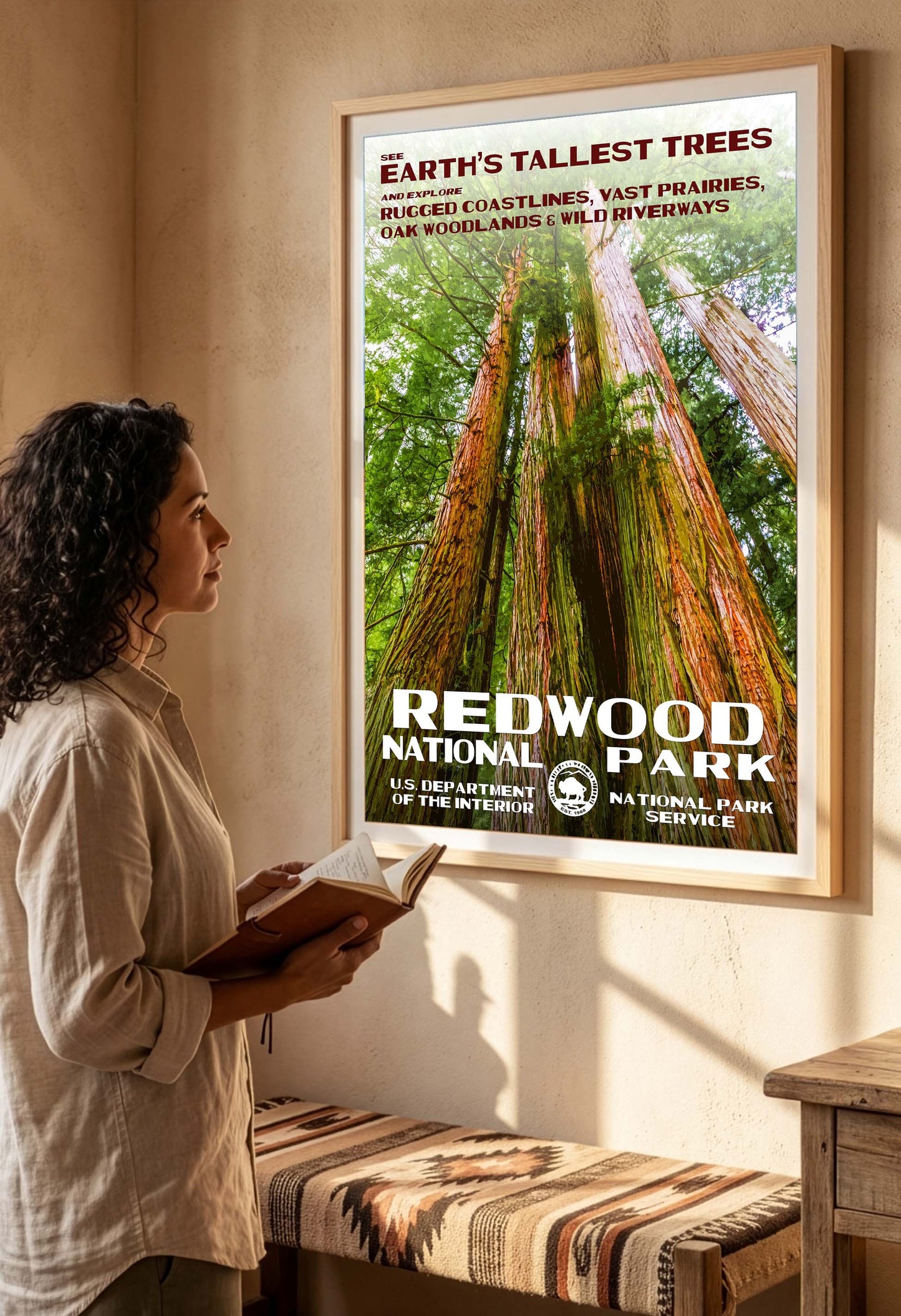 Redwood National Park Poster