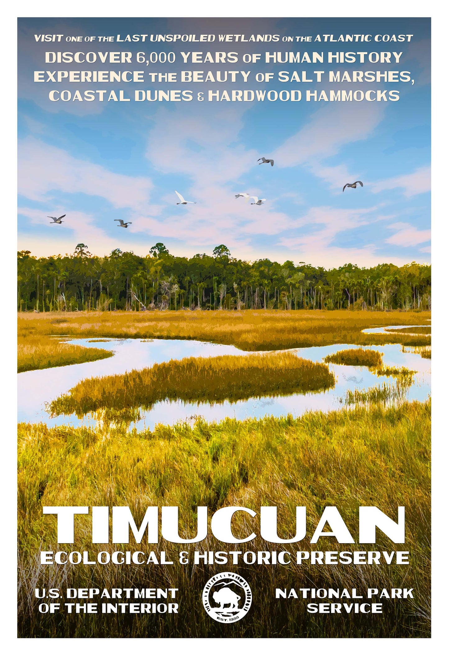 Timucuan Ecological & Historic Preserve Poster
