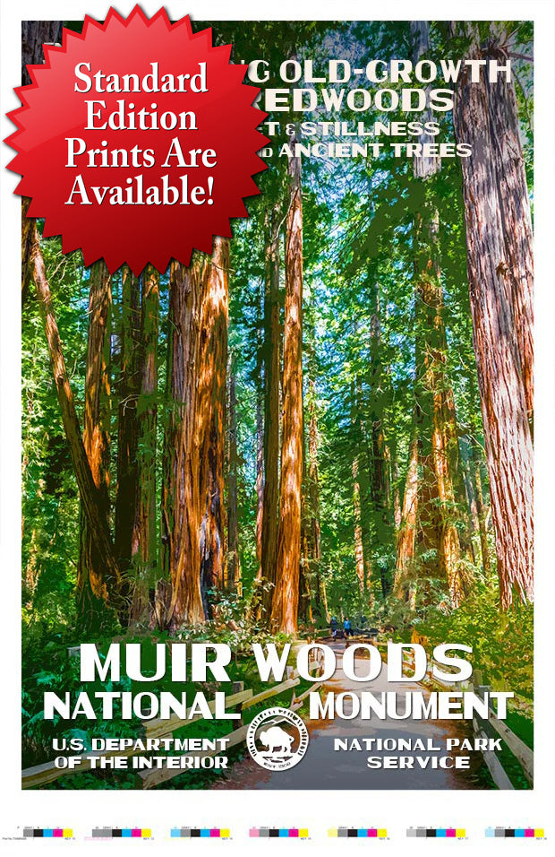 Muir Woods National Monument Artist Proof