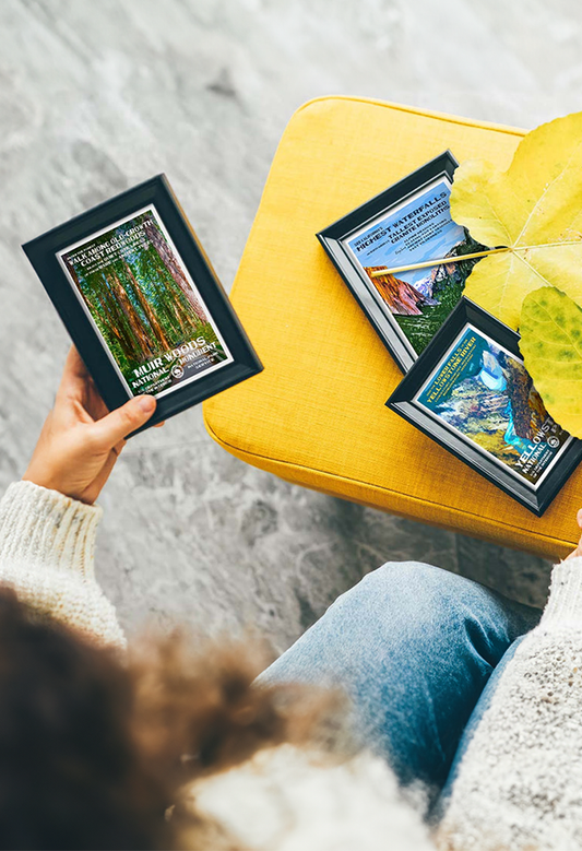 Mystery 10-Pack: National Park Postcards (Random Mix!)