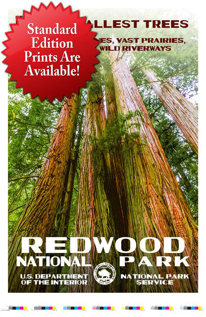 Redwood National Park Artist Proof