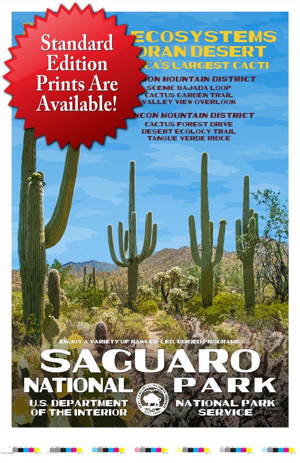 Saguaro National Park Artist Proof