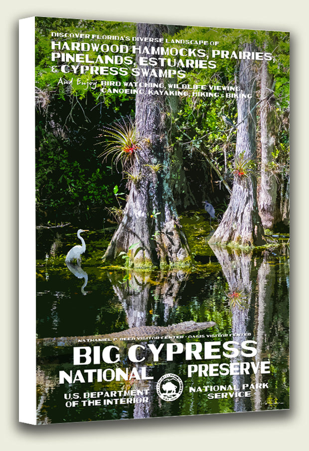 Big Cypress National Preserve Canvas Print
