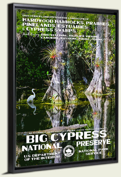 Big Cypress National Preserve Canvas Print