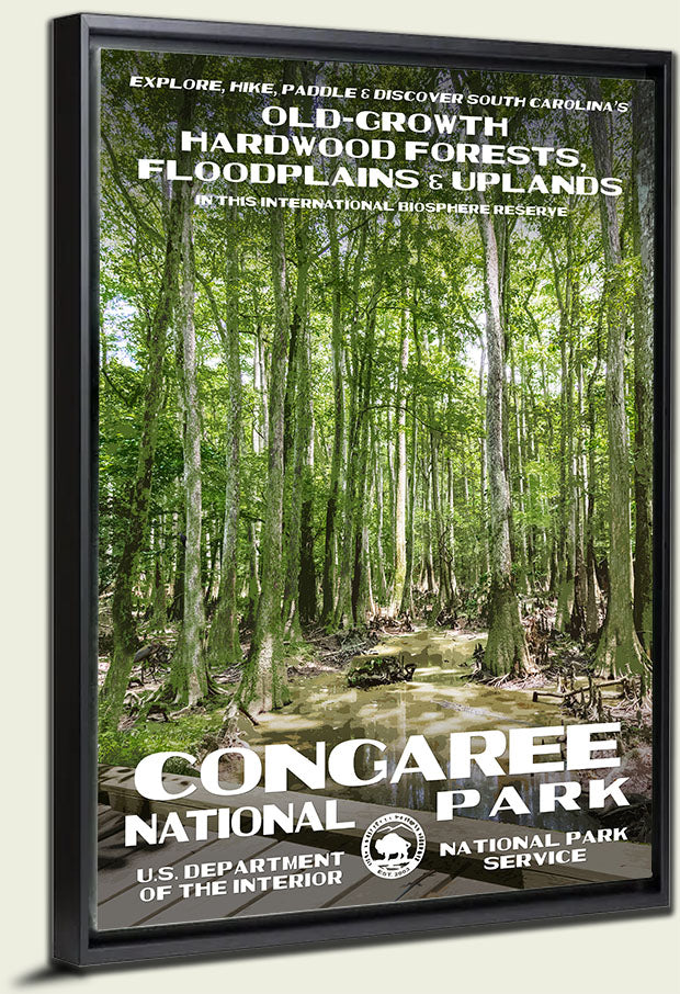 Congaree National Park Canvas Print