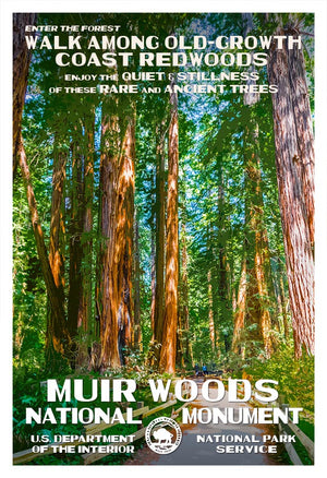Muir Woods National Monument