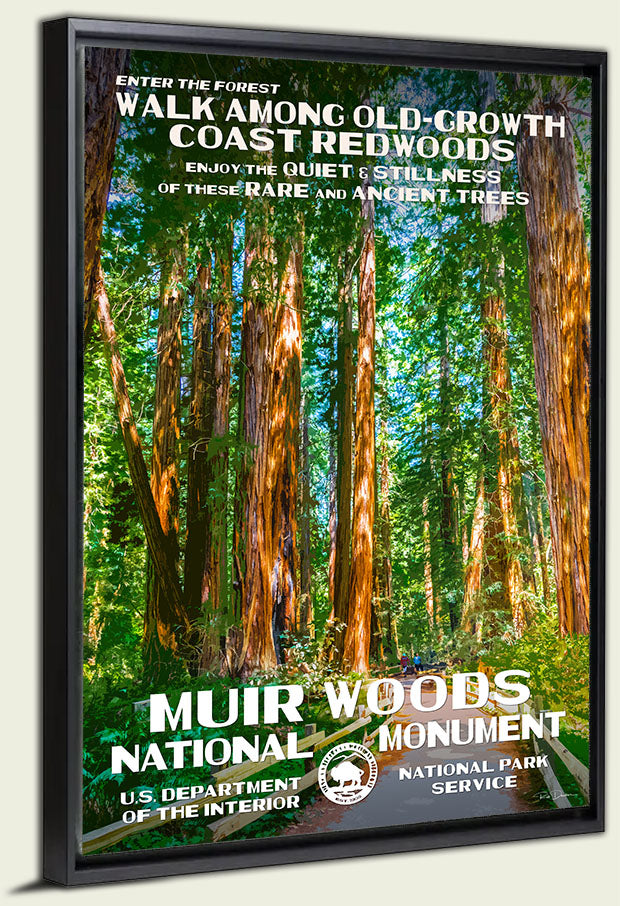 Muir Woods National Monument Canvas Print