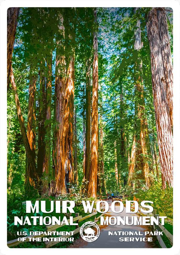 Muir Woods National Monument Sticker