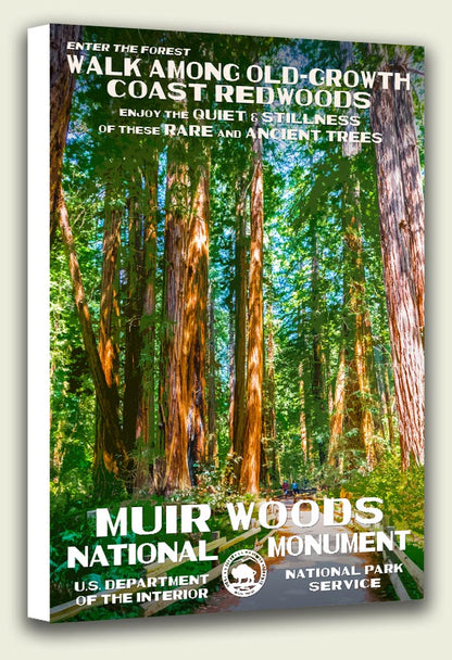 Muir Woods National Monument Canvas Print
