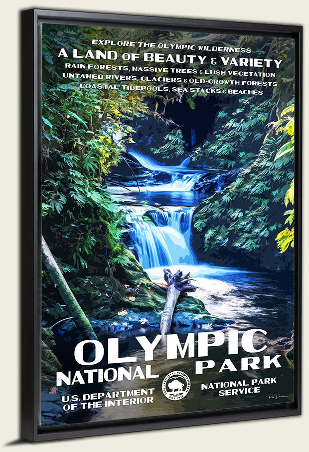Olympic National Park Canvas Print