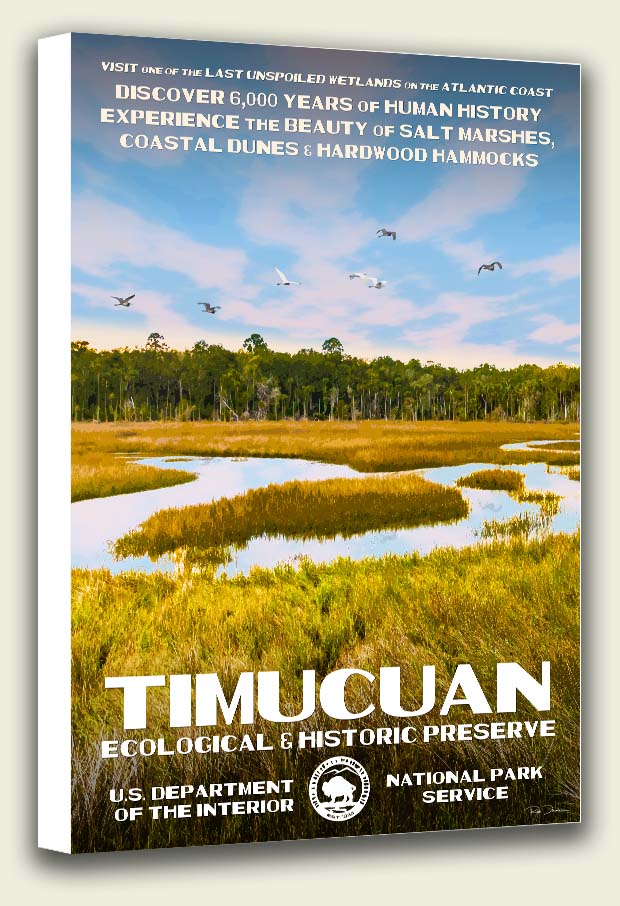 Timucuan Ecological & Historic Preserve Canvas Print