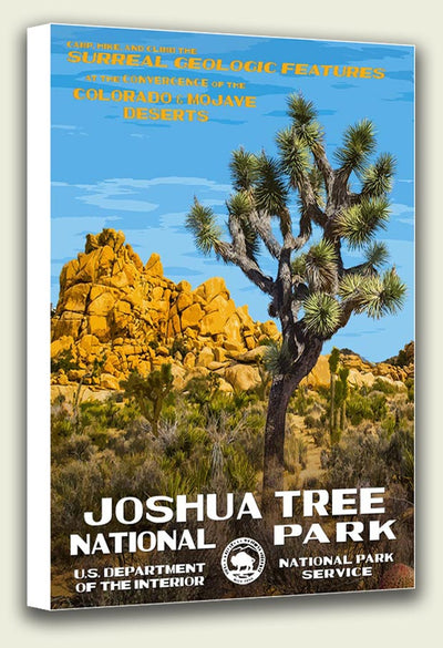 Joshua Tree National Park Canvas Print