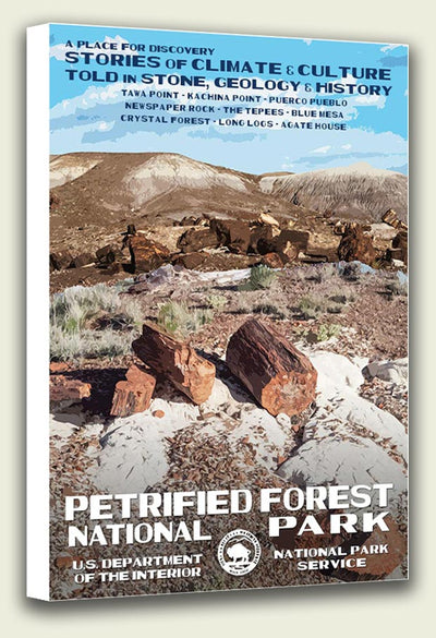 Petrified Forest National Park Canvas Print