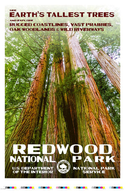 Redwood National Park