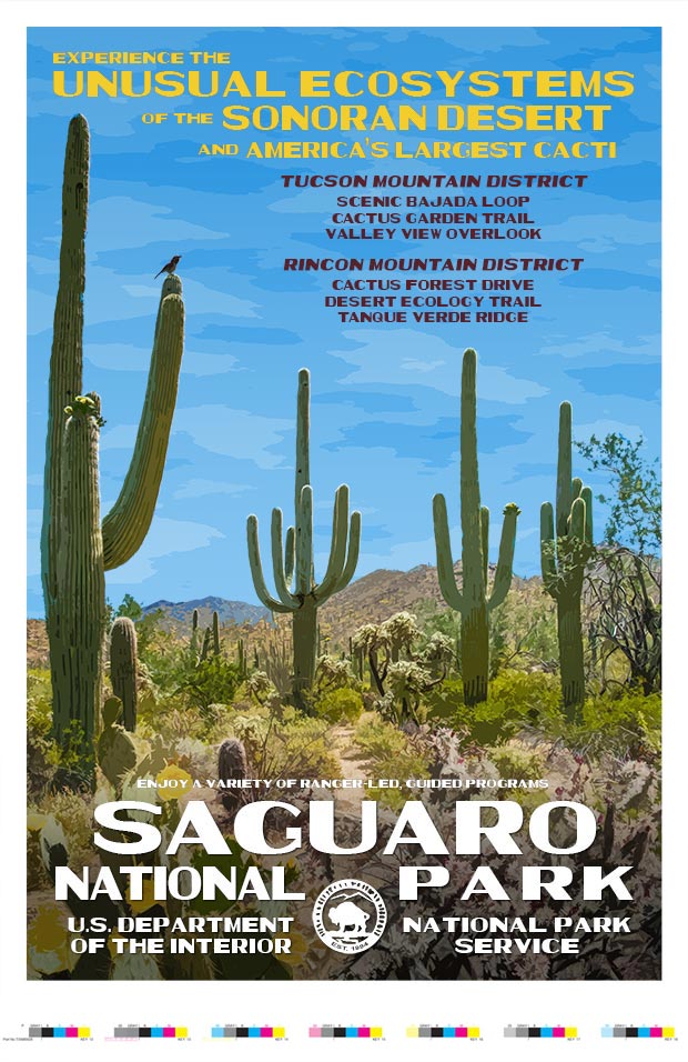 Saguaro National Park Artist Proof
