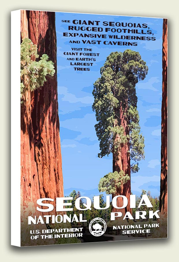 Sequoia National Park Canvas Print